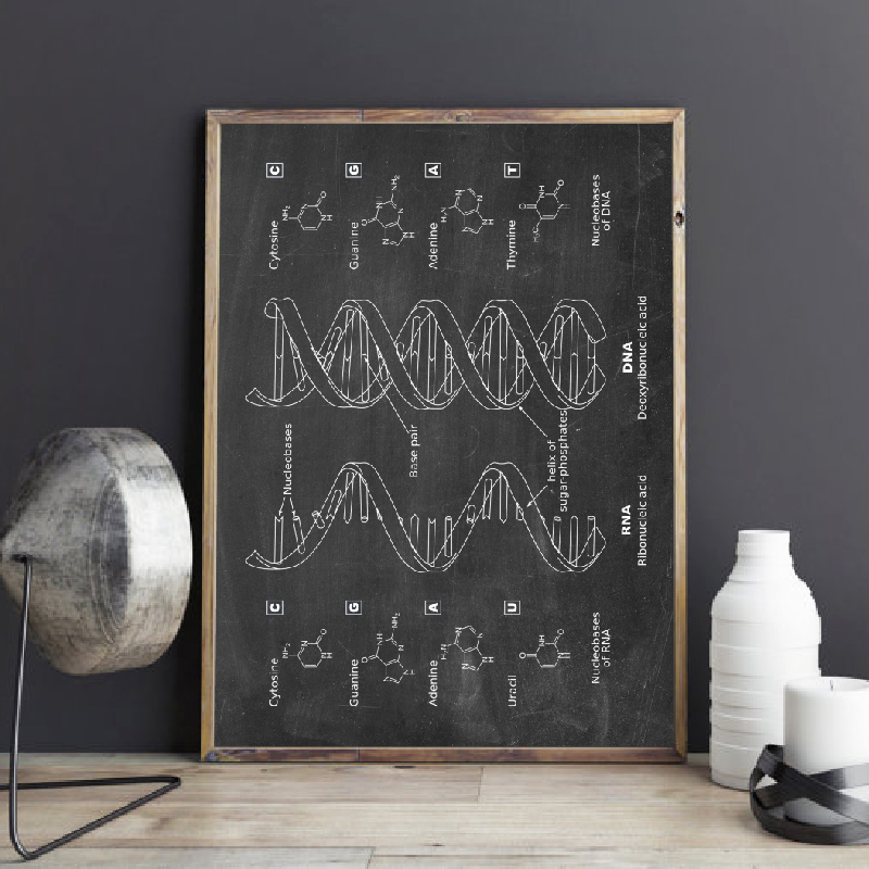 DNA Bằng Sáng Chế Tường Nghệ T - đánh giá và giá Star Map Poster