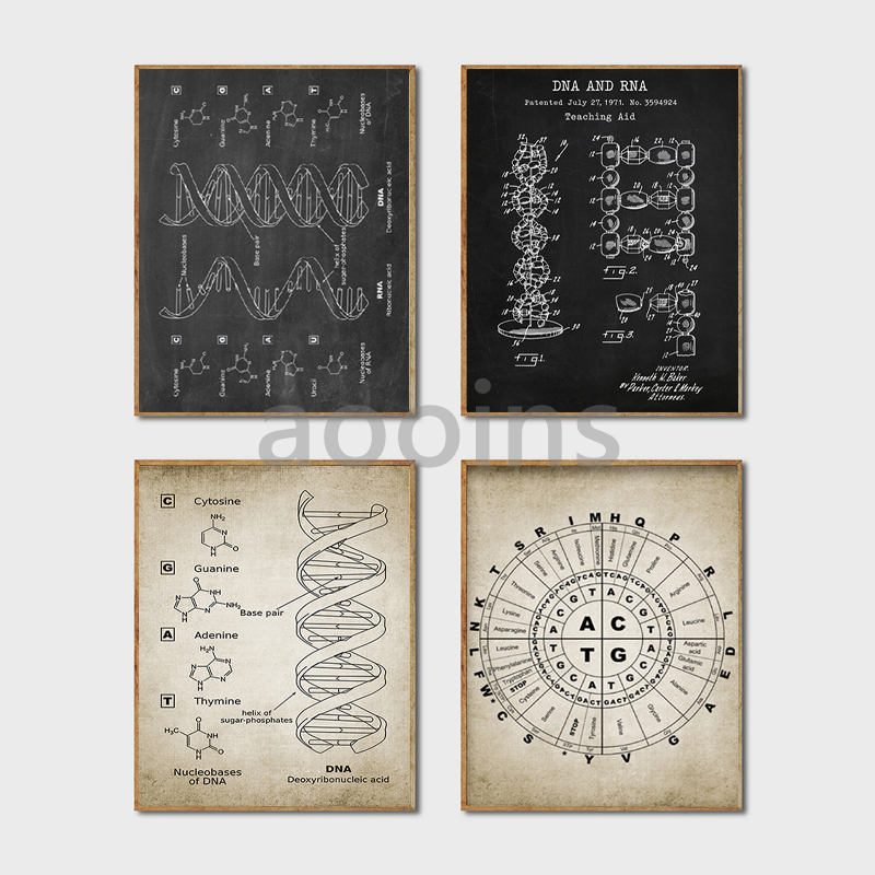 DNA Bằng Sáng Chế Tường Nghệ T - đánh giá và giá Star Map Poster