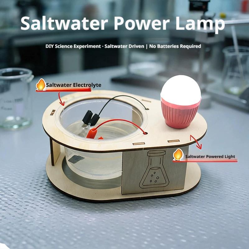 DIY Salt Water Power Generatio - đánh giá và giá Science Kit